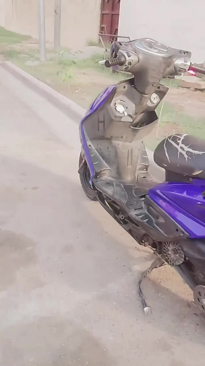 سكنس فحل • كاملة • سلف