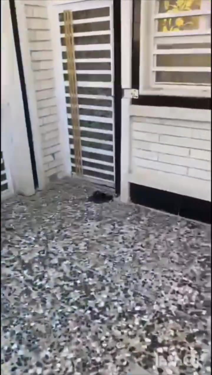 السلام عليكم.
دار للبيع المساحه 100مربع🏡
سبع البور منطقة ٣الاف قرب دائرة الكهرباء📍 
طابق واحد يحتوي على ستقبال وغرفه منام🖼️
ومطبخ مفتوح وصحيات 🧱
ملاحظه: تخم الاستقبال والبردات والكاميرات هديه ويا البيت
الدار بسمي.🤍
السعر 70. 
رقم الهاتف.***********📱
