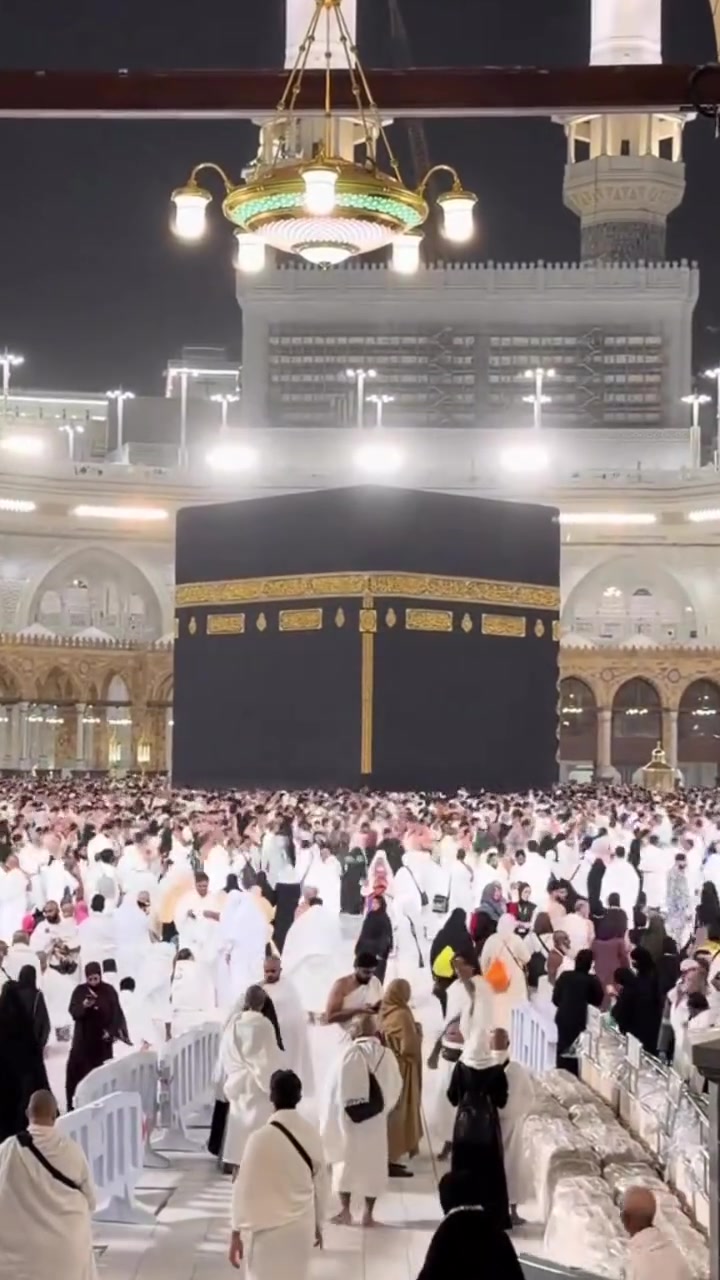 بسم الله الرحمن الرحيم
برامج البر
يتقدم اليكم مكتب الحاج حسين
بإدارة ابو محمد ب أفضل العروض
📣 يرجى الانتباه 📣
برامج العمرة لرحلة يوم 9/25
تفاصيل الأسعار والبرامج:
 محبس الجن:
 2 ليلة مدنية / 6 مكة: $365
 3 ليلة مدنية / 6 مكة: $385
 إبراهيم الخليل:
 2 ليلة مدنية / 6 مكة: $525
 3 ليلة مدنية / 6 مكة: $440
 اجياد:
 2 ليلة مدنية / 6 مكة: $490
 3 ليلة مدنية / 6 مكة: $560
البرامج تشمل:
 الفيزا
 مزرعة حائل
 السكن
 رسوم الهيئة
 النقل
نسعد بخدمتكم
 موقعنا: بغداد - الغزالية - الشارع العام
 الهاتف: ***********
 ملاحظات:
 يتوفر نظام الأقساط لحاملي ماستر رافدين حصراً.
 يتوفر أيضاً برامج طيران.
 #عمره #حج #العراق #السعوديه
