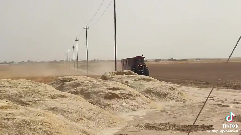 السلام عليكم يوجد تبن بشريعه مكوم بمكانو واصل زراريه والنميصه وشميط  و الصباغيه و الزاب
السلام عليكم يوجد تبن بشريعه مكوم بمكانو واصل زراريه والنميصه وشميط  و الصباغيه و الزاب***********♡0782134646
