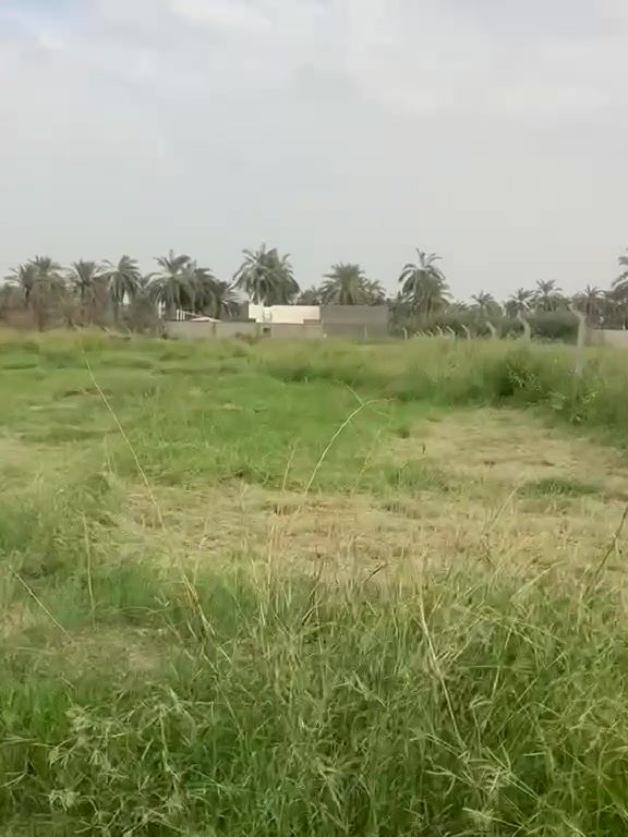 دونم • طابو تحويل • شارع سيد علي