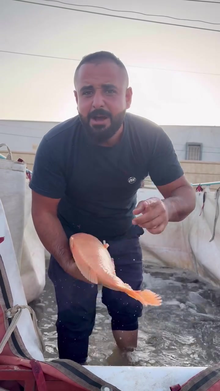 حجز • توصيل الشرقاط • نقابيل