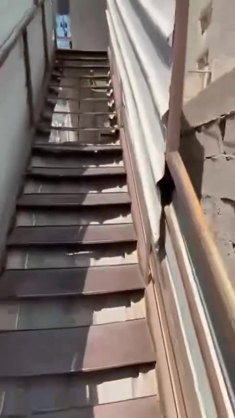 بيت للايجار المربع الذهبي حي الوادي شارع سيطره ابو سرمد قرب ماركت باسكت فود غرفتين وصاله ومطبخ وسطح ناصي وعالي 
السعر 550 وقابل للتفاوض مباشر مع صاحب العقار بدون دلاليه 
***********
