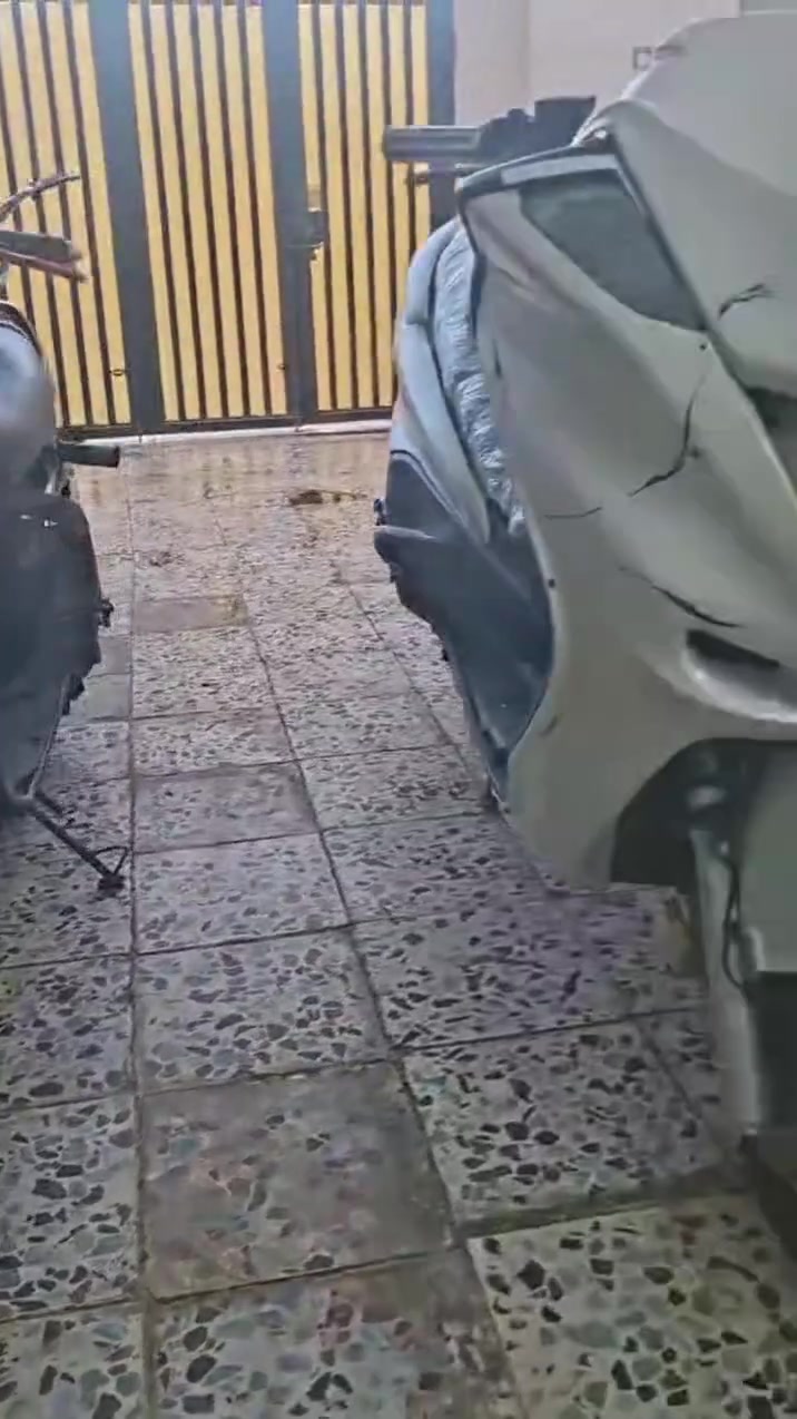 ماجستك • بومه • بدون اوراق