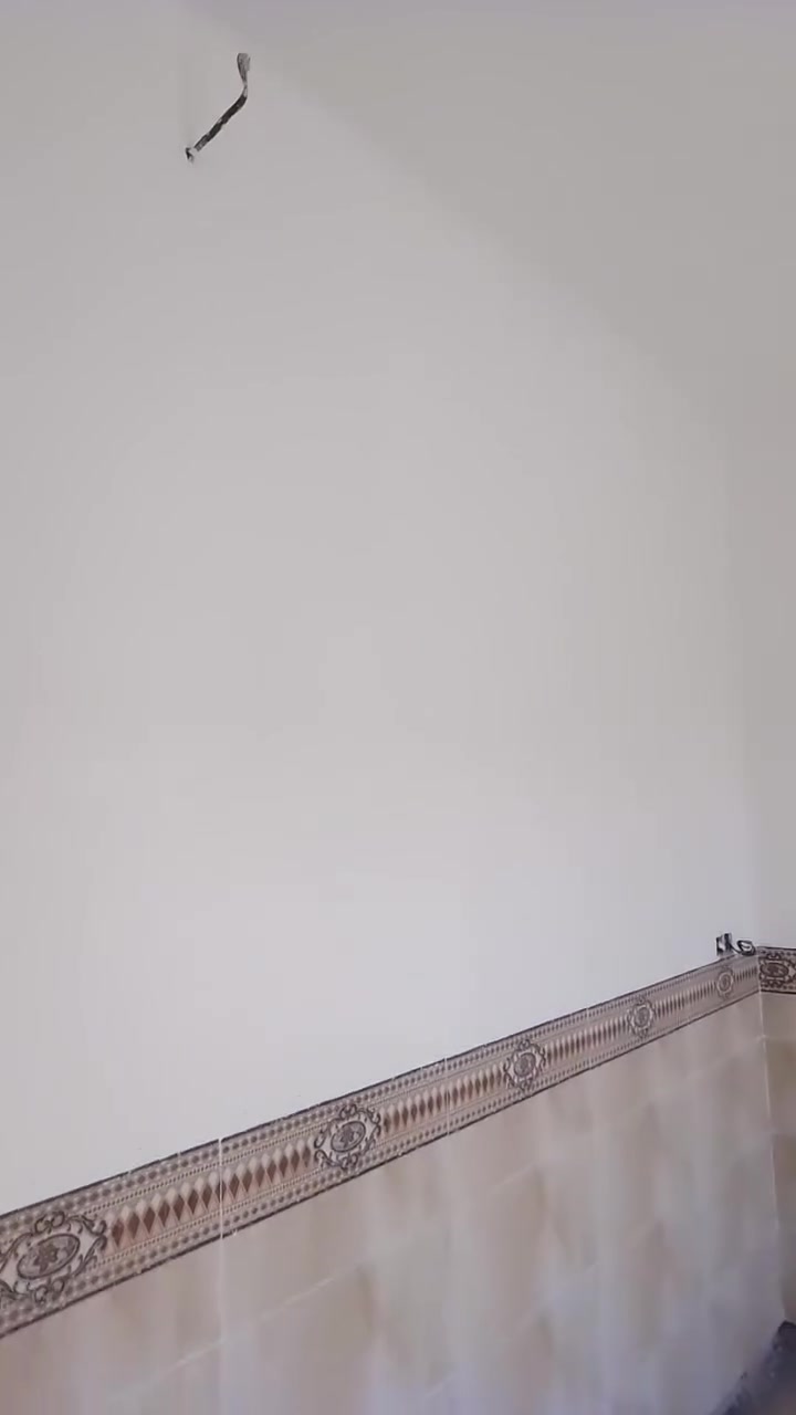كادر عمل • جص • بورك كرسته