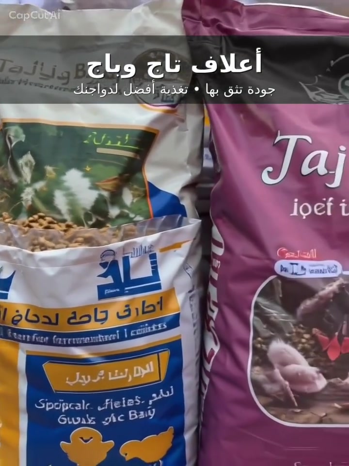 اعلاف المزرعة • دجاج الزينة • الديوانية