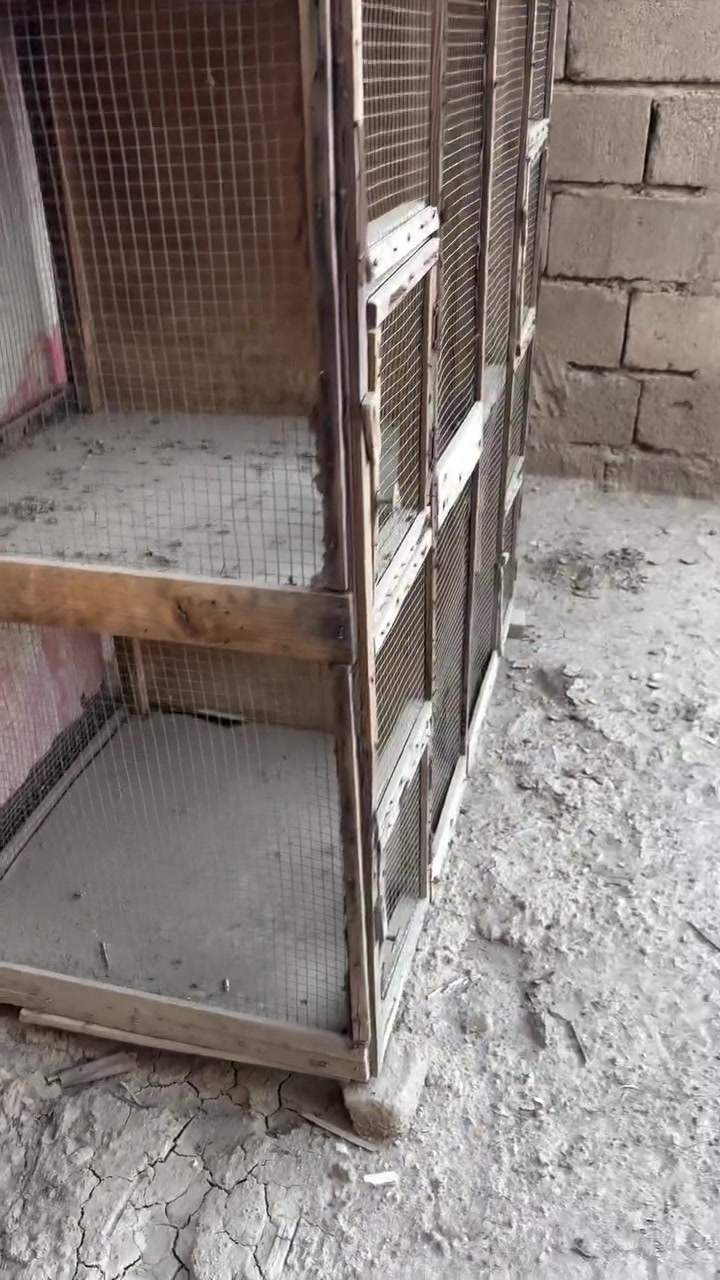 خانات • نضاف • أبو الخصيب