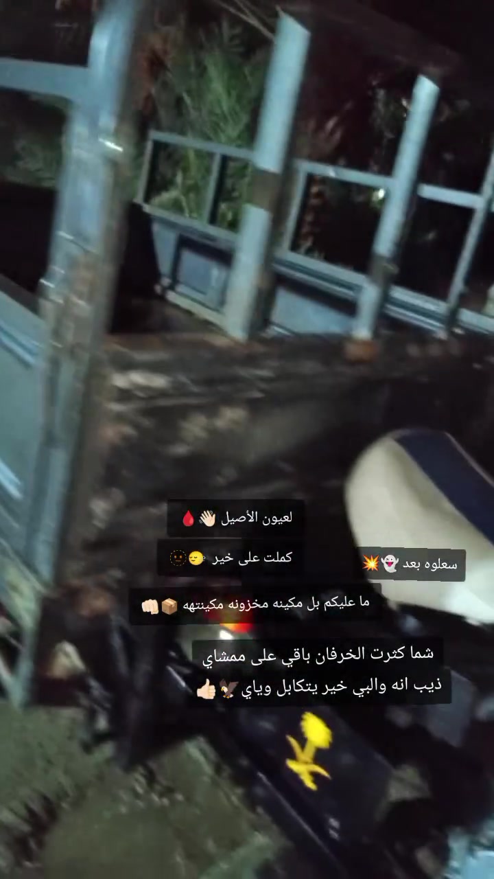 ستوته • موديل ٢١ • رمادي