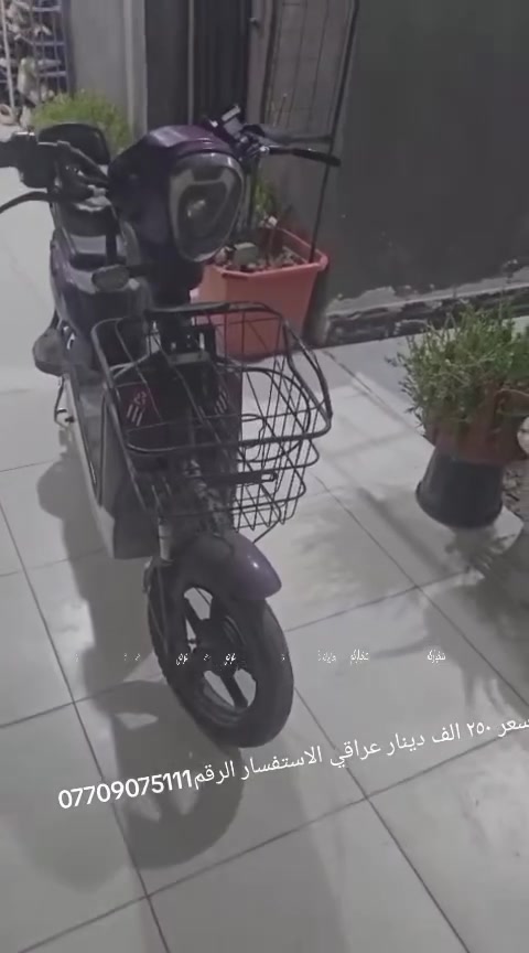 لا توجد تفاصيل
