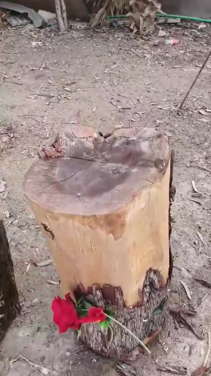عدة • بصره تنومه