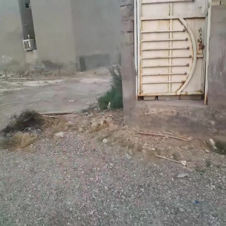 سلام عليكم بيت للبيع سبع قصور شارع لمشروع قرب لمستوصف واجهيه ٧ونص نزال ٩   _٩٠ متر طابق واحد لفديو واظح استفسار اتصل أو خاص سعر ٤٢ وبي مجال ***********@@
