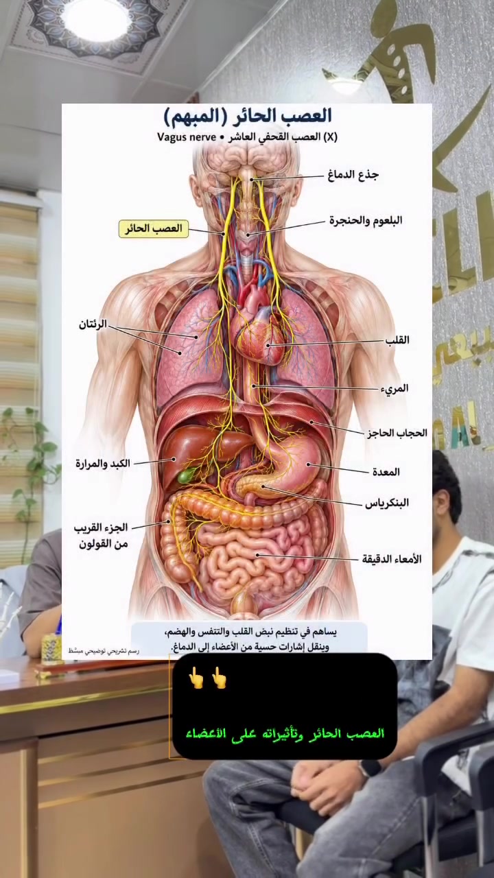 العصب الحائر • علاج طبيعي • كربلاء طويريج