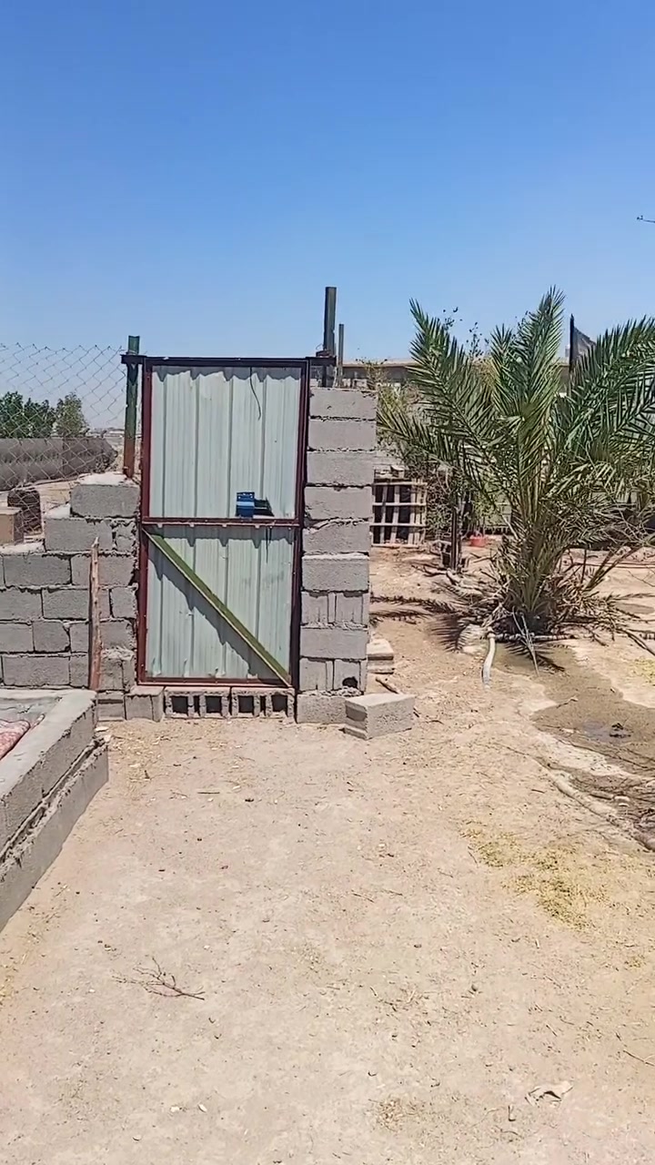 سلام عليكم للبيع كاع المساحه نص دونم وبي محميه ومزروع سدر العنوان زبير دواجن قرب سيطرة البحرية الاتصال برقم ***********
