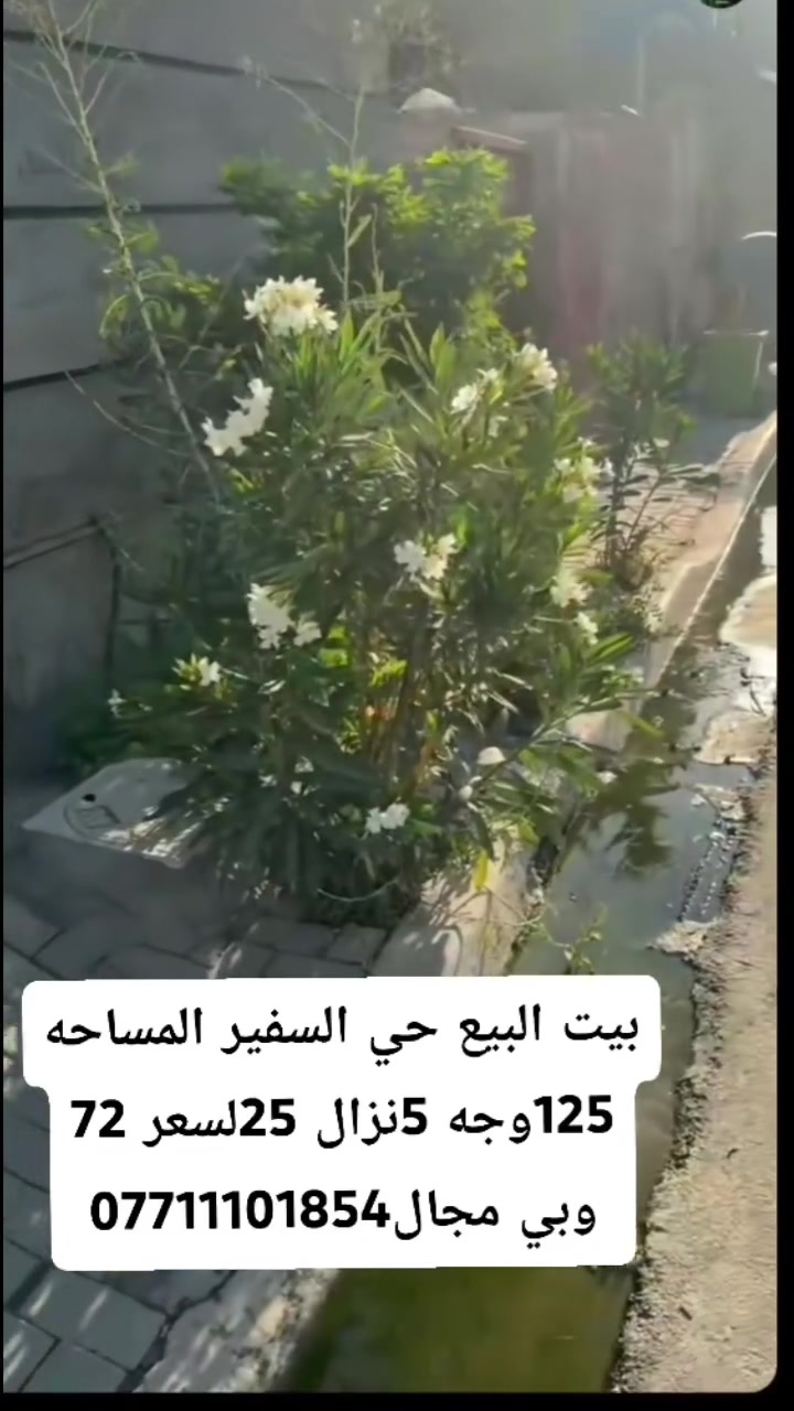 سلام عليكم دار البيع حي السفير قرب سوق العبيدي المساحه 125 واجه 5 نزال 25 السعر 73 وبي مجال رجال تصل لا تراسل ***********
