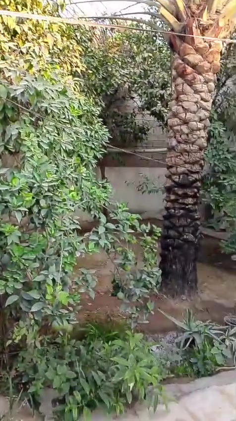 السلام عليكم بيت للبيع المساحه ٢٨٢متر طابو ملك صرف بعقوبه قنطرة خليل باشه تفاصيل أكثر ***********
