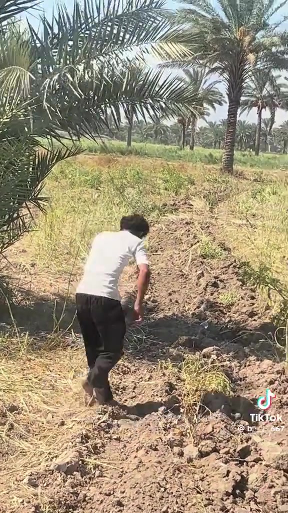 مكاين • شغال فول
