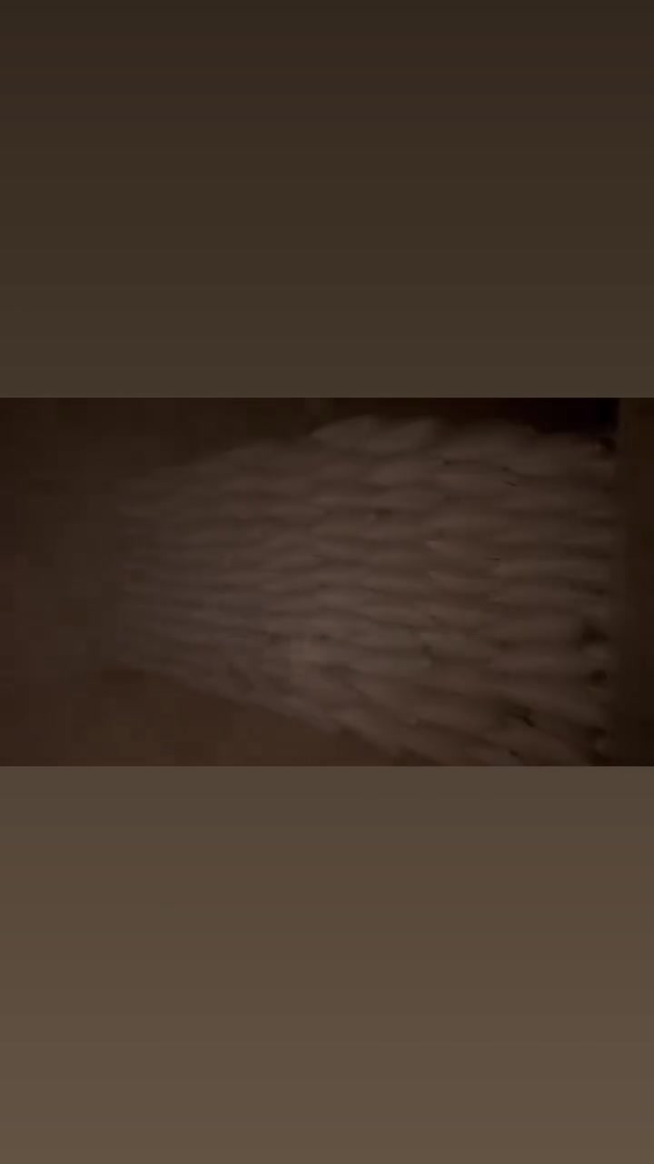 حنطة • شعير ابيض • شعير اسود