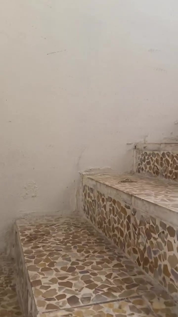 المياسة باب البيض • ١٢٠م • ٣ غرف