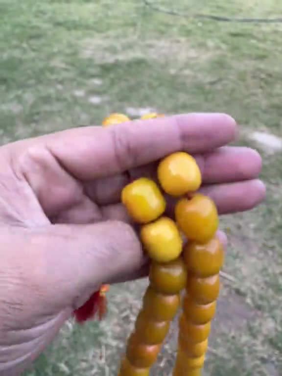 اكسسوارات شخصية • للبيع