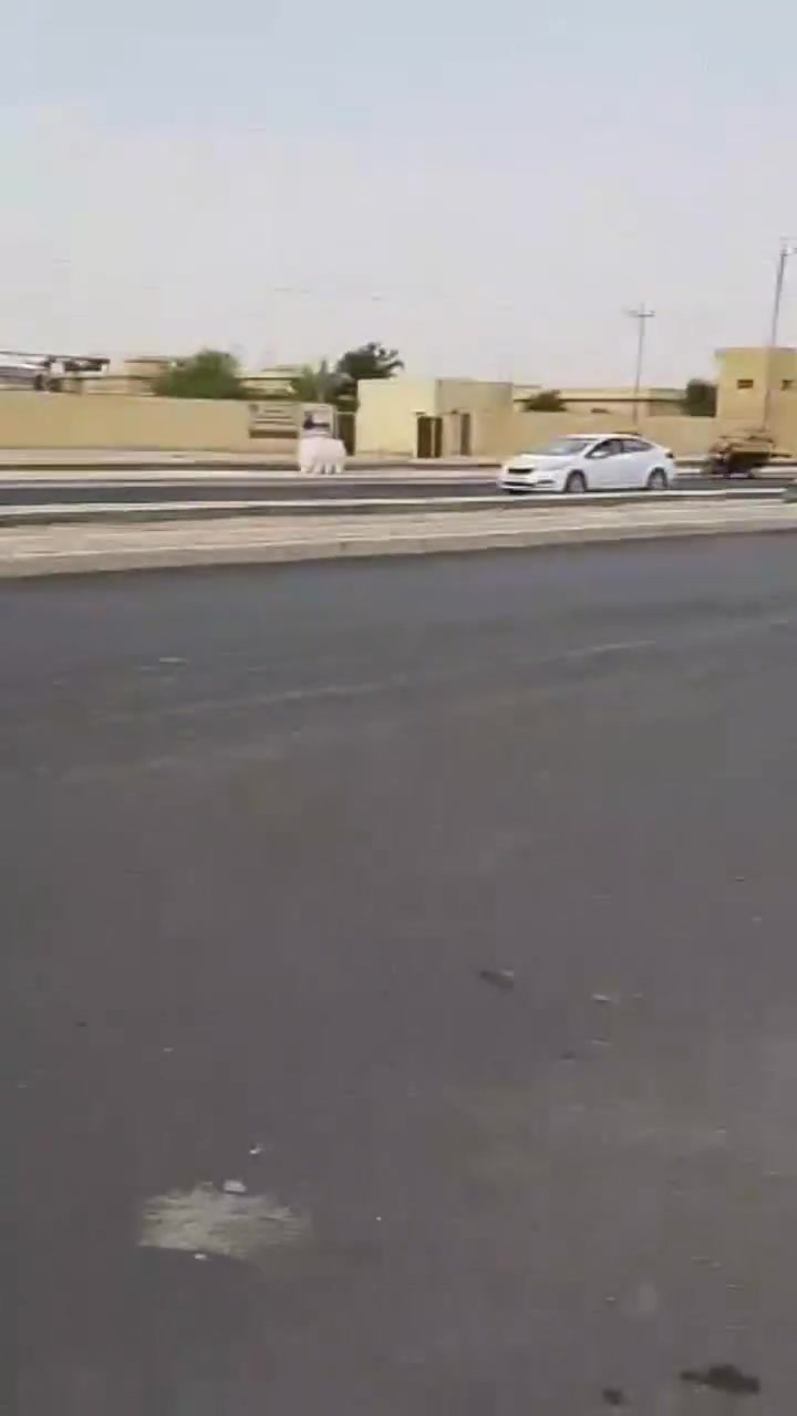 قطع غيار إيرانية • أسعار تنافسية • بل ديوانيه