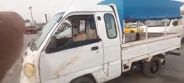 فاو • محرك واكسل جديد • اوراق كاملة