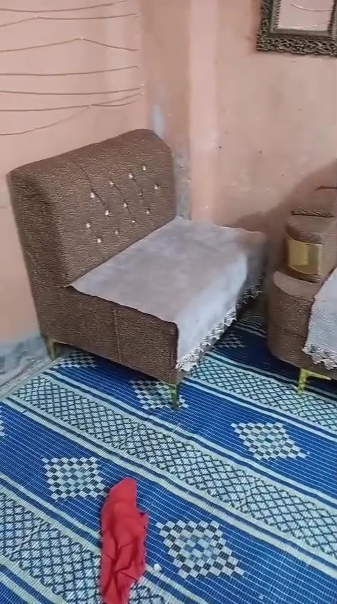 تخم للبيع‏‪***********‬‏
