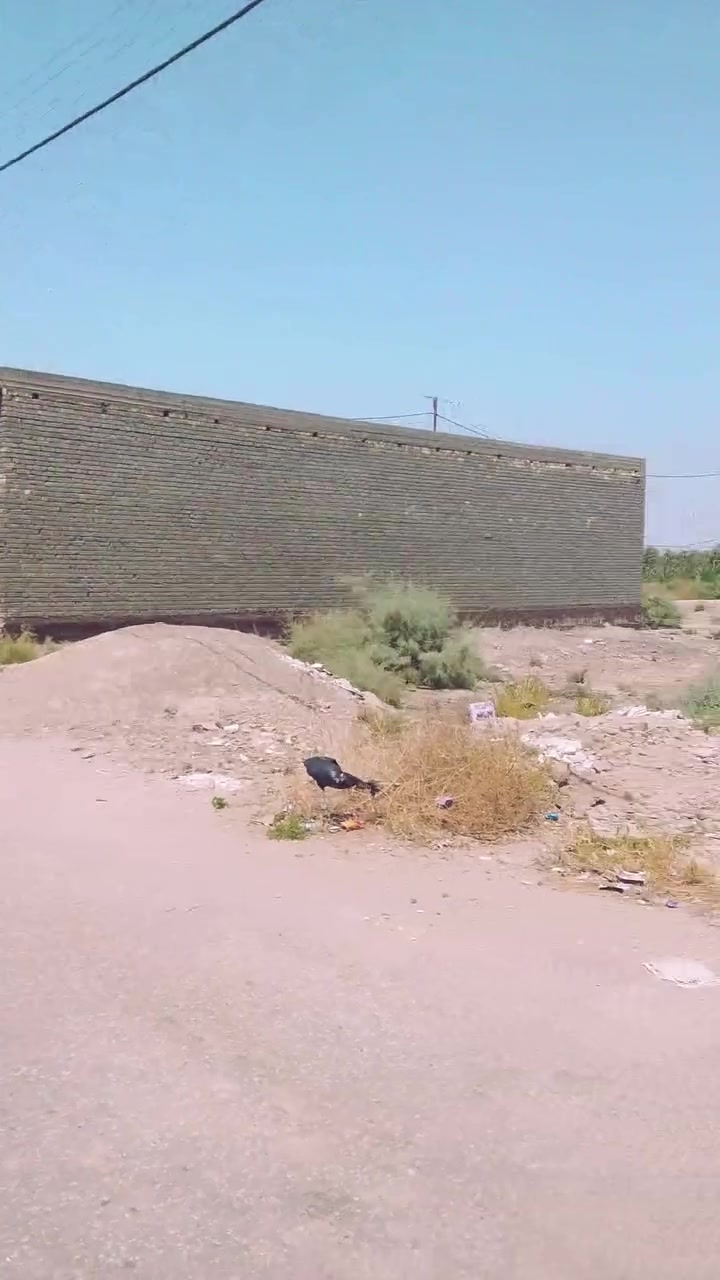 الشافعيه • ارض زراعيه • ٢٠٠م