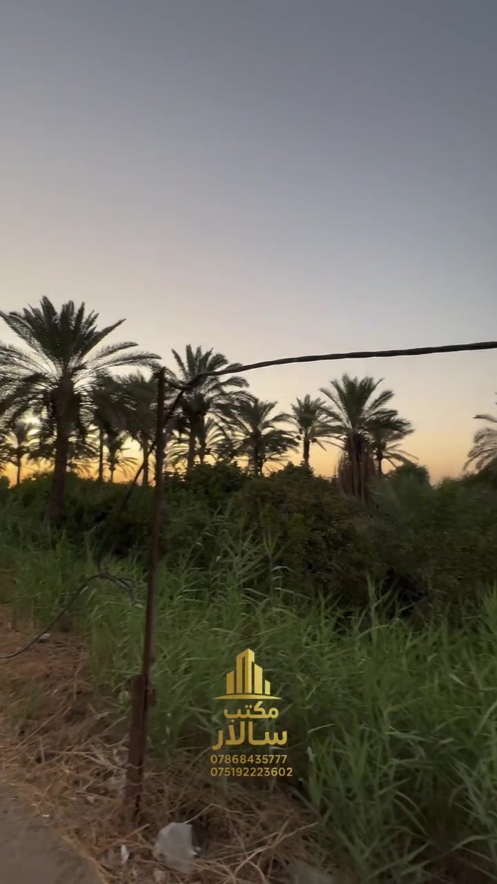 🏡 شاطئية للبيع – الدورة / عرب جبور

📍 الموقع: الدورة – عرب جبور

* المساحة: دونم كامل
* الواجهة: 25 متر
* مشجرة بأشجار الحمضيات والنخيل 🌴🍊
* الأرض مرصوصة بالحجر 🧱
* مناسبة للسكن أو لإنشاء مزرعة واستراحة.
* يدخل اسمك بالسند (طابو زراعي سند 25).

📞 للاستفسار والمعاينة:
***********

