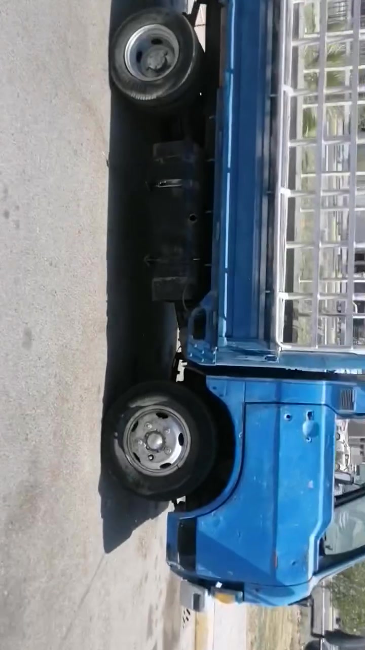 كيه فحل للبيع موديل 95   ***********
