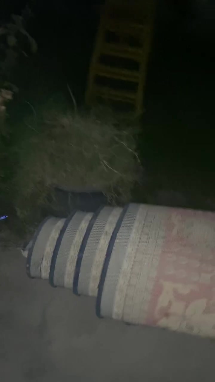 زوليه نضيفه للبيع جبيره والكرويته هم للبيع هم نضيفه رايدهن 40وبيهن مجال الرقم ***********
