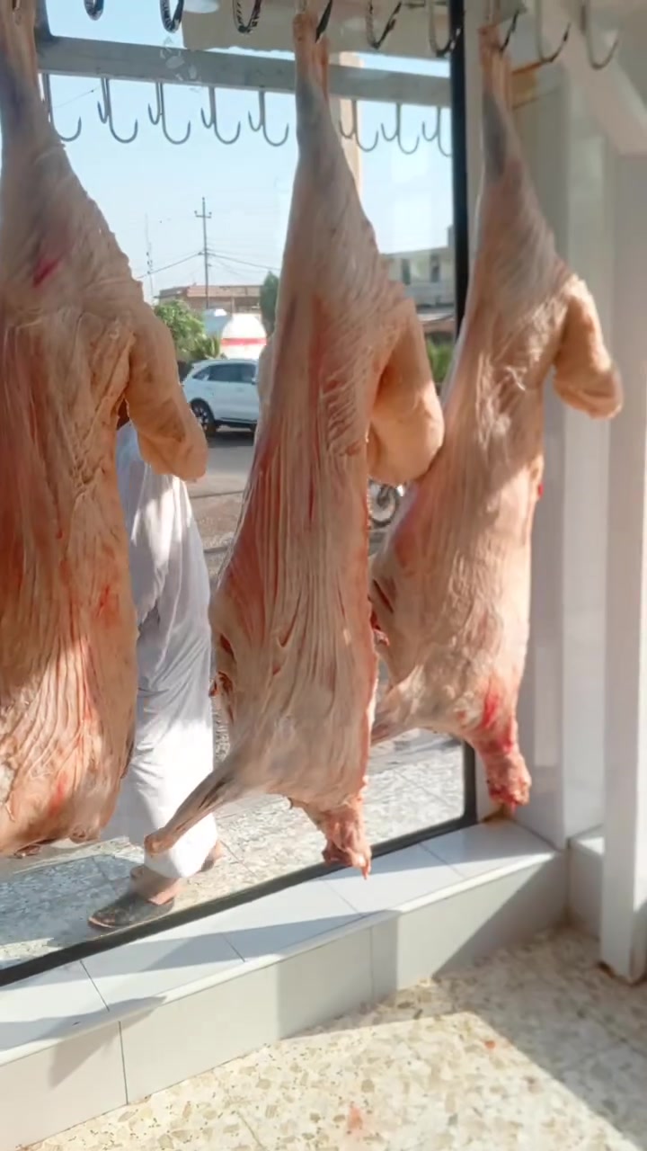 بسم الله ماشاء الله تبارك الرحمان 
لحوم ومشويات حسين 
اذباحت يوم الثلاثاء المصادف ٩/٢٢
لحم غنم جمله مفرد ١٥/الف
لحم عجل جمله مفرد ١٣/الف
العنوان 
بابل قضاء المحاويل قرب جامع الامام علي عليه السلام 
ارقام هواتف المحل 
المحل ***********
الواتساب ***********
أهلا وسهلا بكم احبتي الكرام
