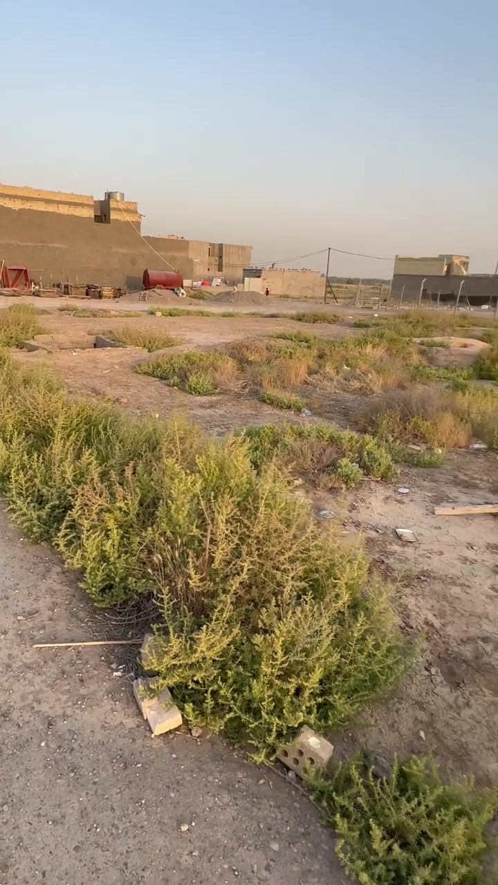 قطعه ارض وجه ٨ ونزال ٢٥
***********

