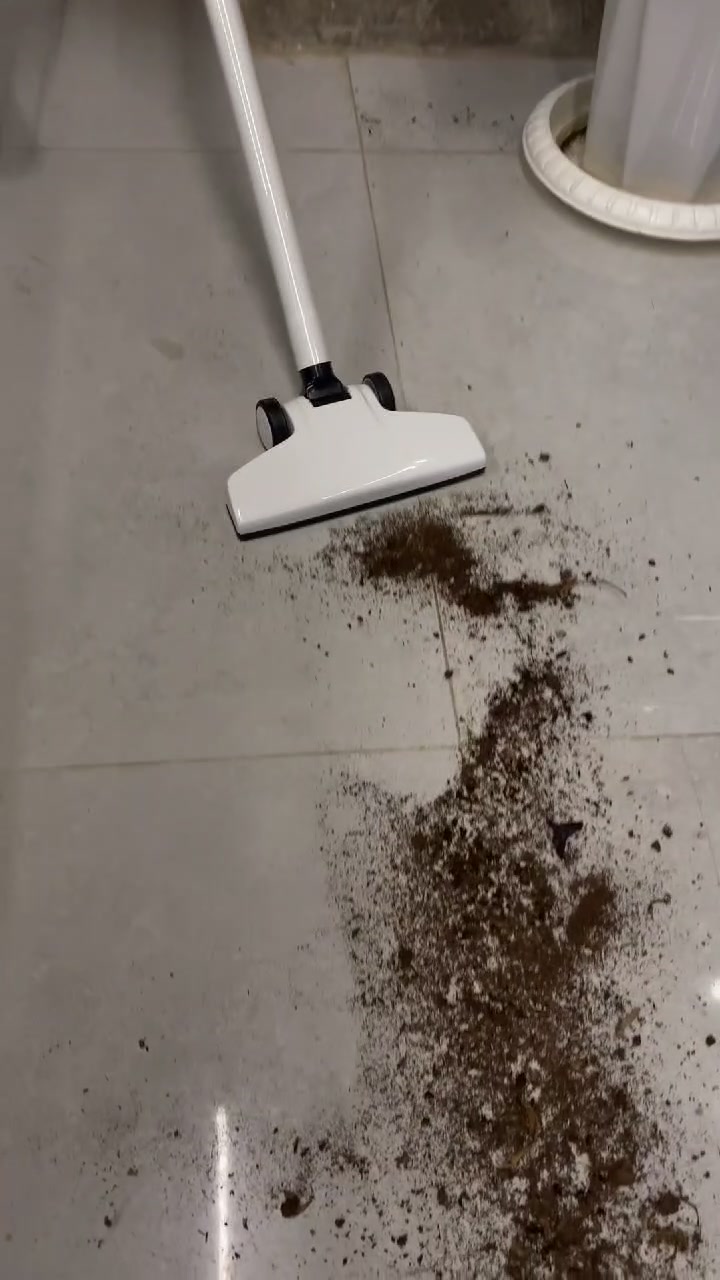 السلام عليكم توفير ةعندنا مكناسه كهربائيه
المعلومات بالاسفل ❤️
🧹 نظافة قوية بكل سهولة بجهاز واحد!

مكنسة 4 وظائف بقدرة 600 واط، تشفط الغبار، تنفخ الأتربة، تنظف الزوايا الضيقة وتزيل الأوساخ العالقة بسرعة 💨
خفيفة ومريحة بالاستخدام، مع خزان 0.8 لتر وسلك 5 متر حتى تتحرك بحرية بكل مكان 🔌

مثالية للأرضيات، السجاد، والزوايا الصعبة
سعر 50,000 توصيل الكافه محافظات العراق داخل بغداد 3000 خارج بغداد 5000🚛