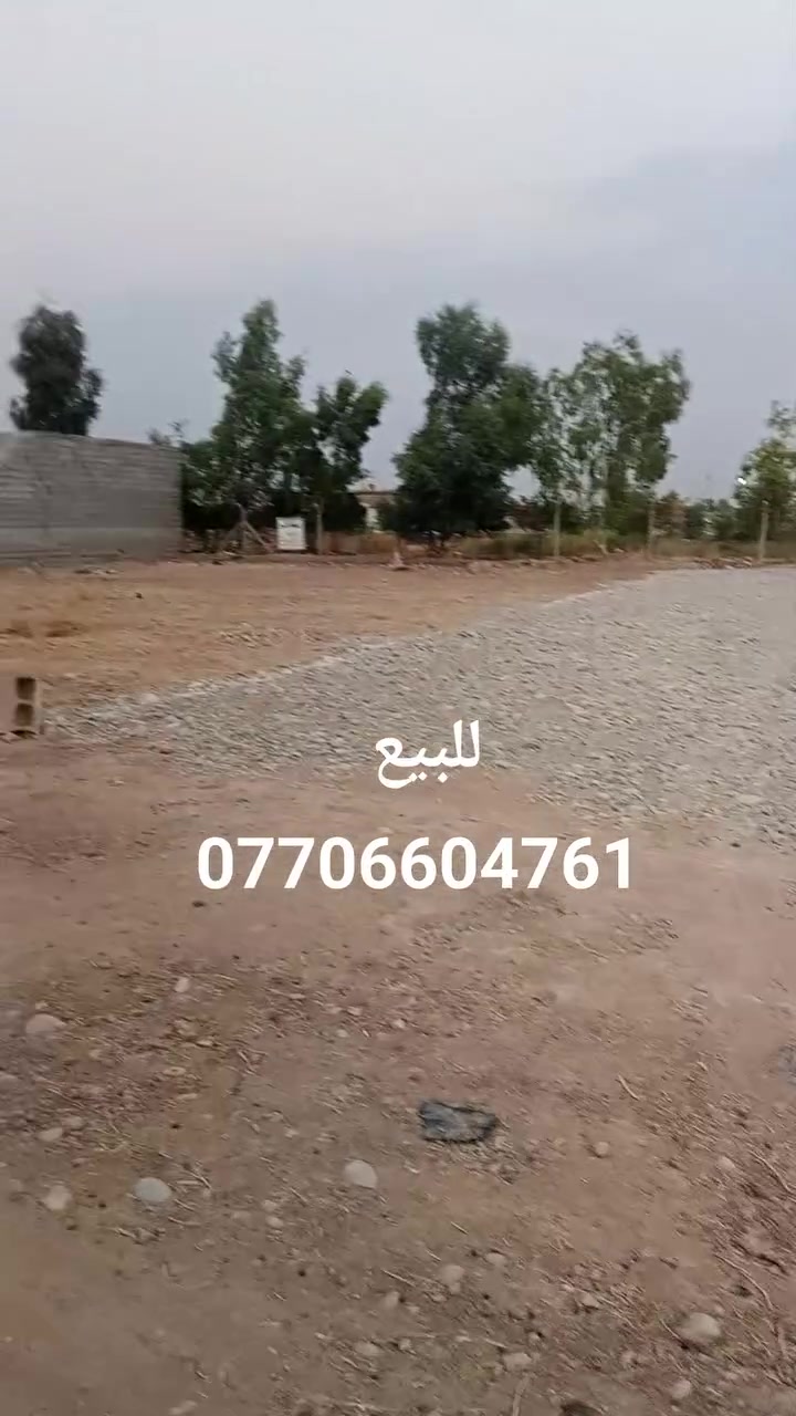 قطعه ارض للبيع 
مساحه 250متر 
عنوان حي بدر شارع مزارع 
خدمات كهرباء موجود 
سعر 15مليون بي مجال 
تفاصيل ***********
