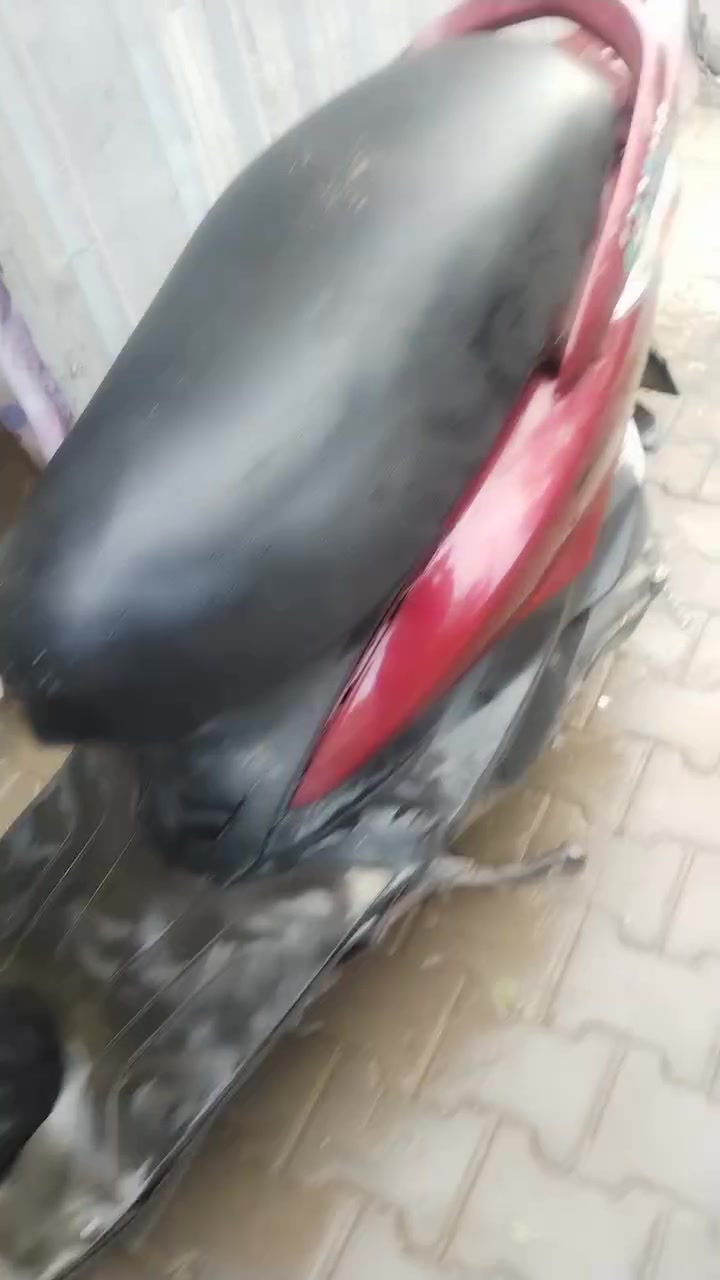 سكنس • مراوس • الحريه