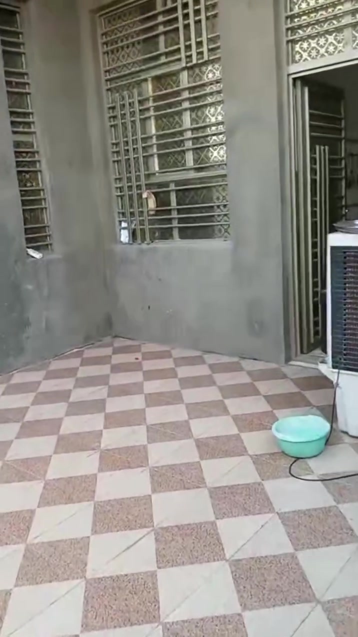بيت للبيع المساحه 250
شارع 15 خدمات كاملة 
مواد درجة اولى 
غرفتين وصاله ومطبخ واستقبال وهول وصحيات خارجية وداخلية 
الطابق الثاني صالة وصحيات
***********  السعر خاص
