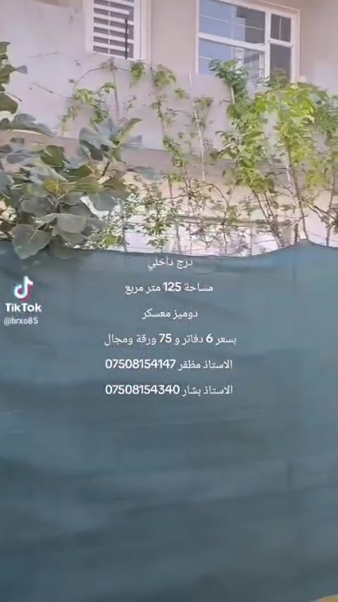 دوميز معسكر • بيت طابقين • ١٢٥م