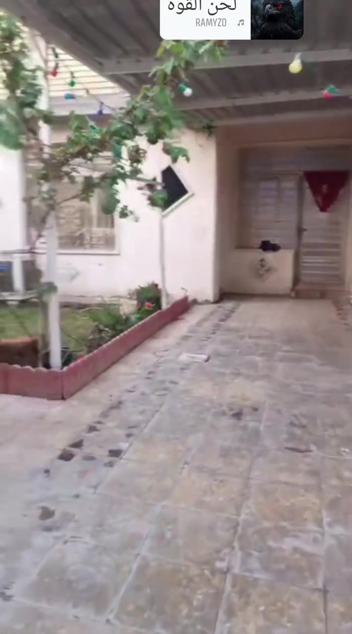 الرشاد قرب فلكة • ٢٠٠م • ٣نوم