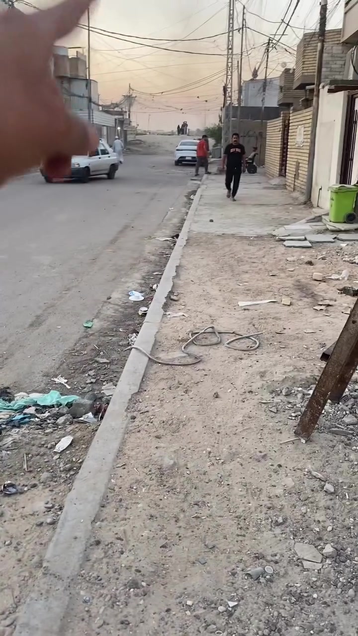 الشعله شارع ابو دهن • ٥٠م • ملك صرف