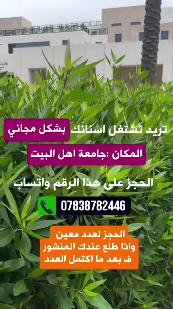 جامعة اهل البيت • لا تفاصيل • خدمات