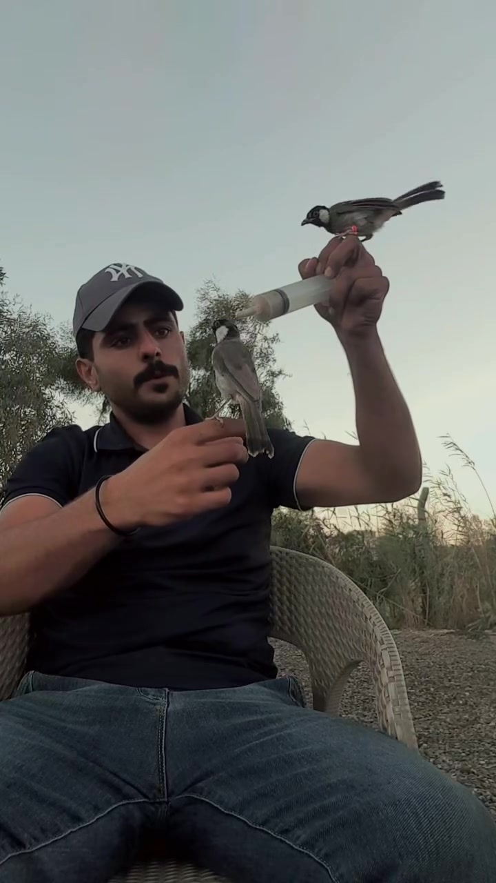 السلام وعليكم تك بلبل مخلف اليف فول سعره ٦٠ الف ***********
