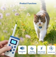 Cat wearing blue waterproof training collar outdoors with owner holding remote control
