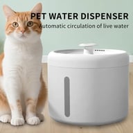 Cat beside white automatic pet water fountain dispenser with circulating pump
