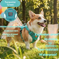 Harness-Style Reflective Dog Leash with Anti-Pull Feature | Captain Fam — view 5