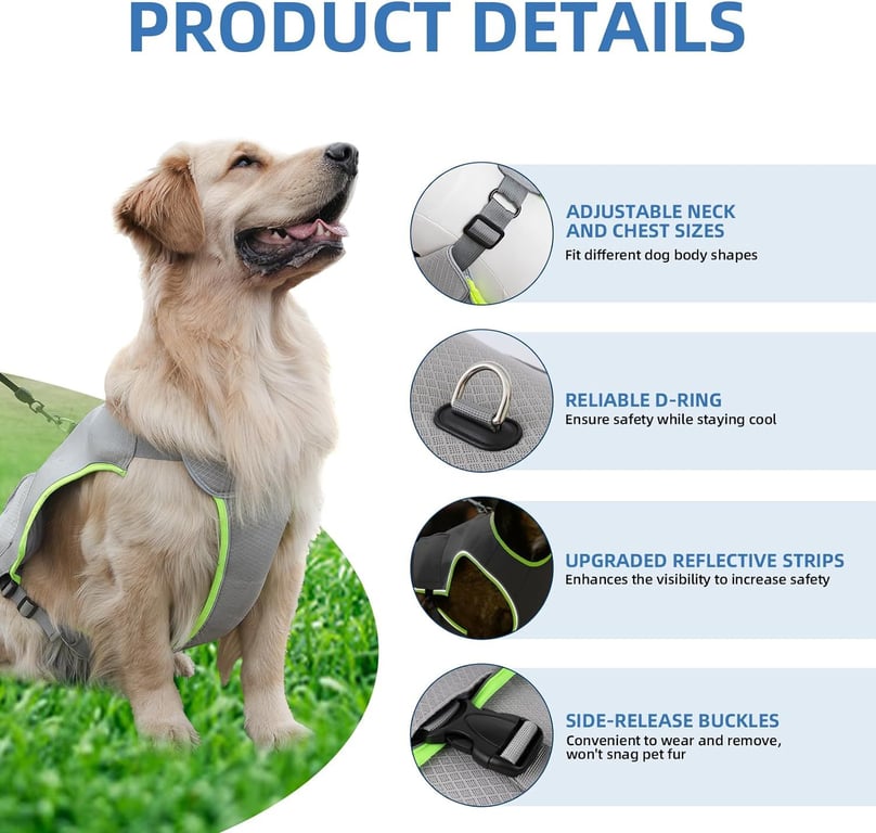 Large breed dog in reflective cooling vest with ice packs secured
