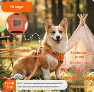 Harness-Style Reflective Dog Leash with Anti-Pull Feature | Captain Fam — view 3
