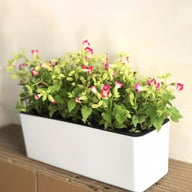 Rectangular Plastic Self-watering Lazy Flower Pot, Balcony Vegetable Planter — view 5