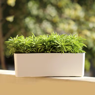 Rectangular Plastic Self-watering Lazy Flower Pot, Balcony Vegetable Planter — view 3