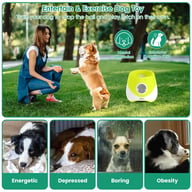 Woman training dog with ball launcher, highlighting mental stimulation