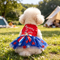 Patriotic Dog Tulle Dress | 4th of July Pet Outfit with Sparkly Stars — view 5